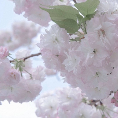 Furry插画构图解析Furry群